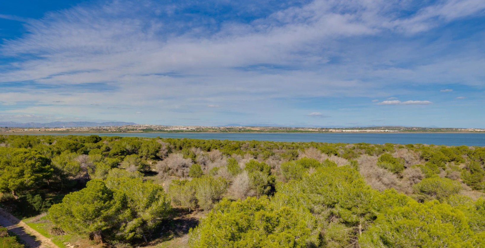 Resale - Apartment / flat - Torrevieja - San Luis