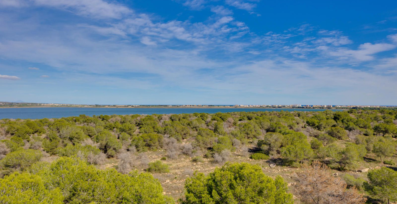 Resale - Apartment / flat - Torrevieja - San Luis