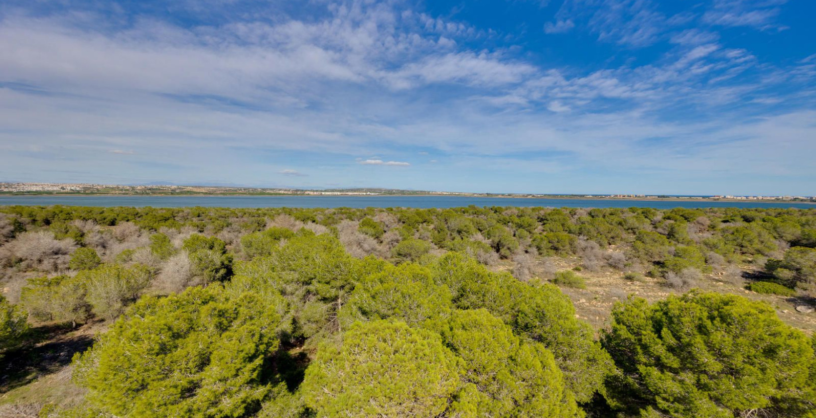 Resale - Apartment / flat - Torrevieja - San Luis