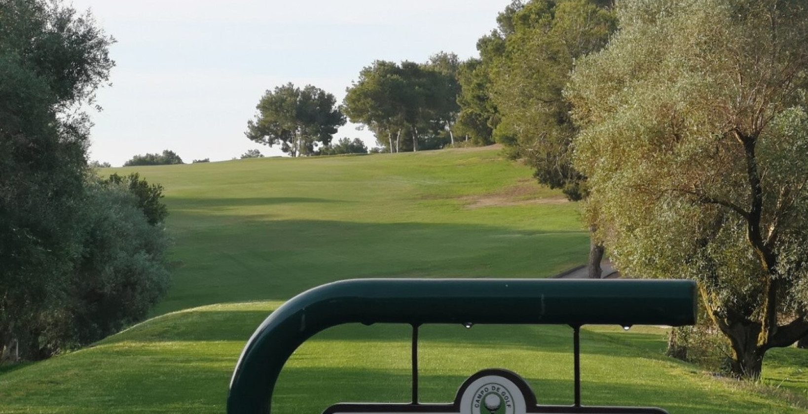 Resale - Villa - Villamartín - El Presidente