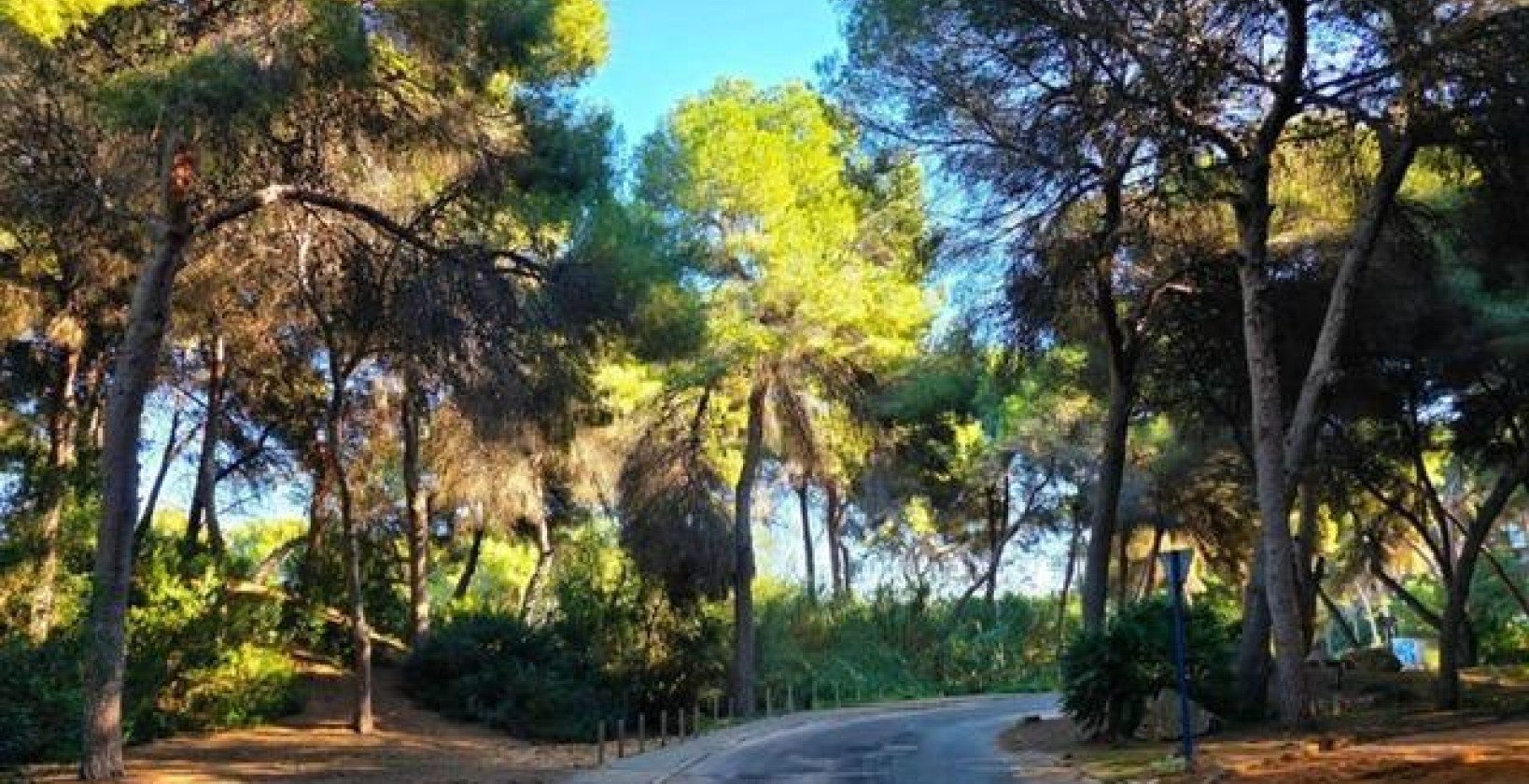 Resale - Villa - Dehesa de campoamor - Campoamor
