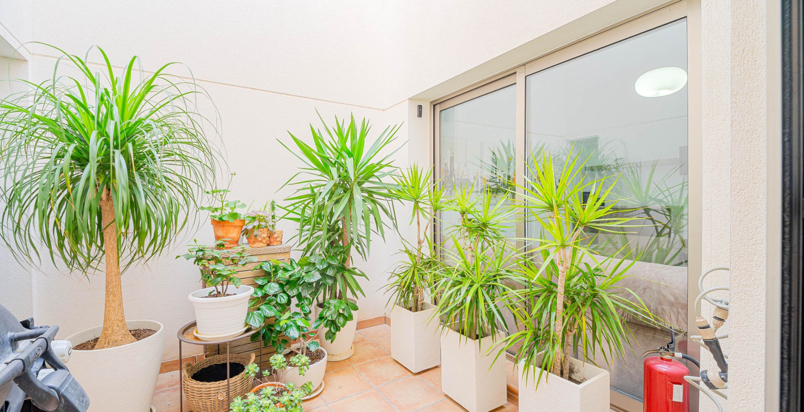 Resale - Duplex - Torrevieja - Punta Prima