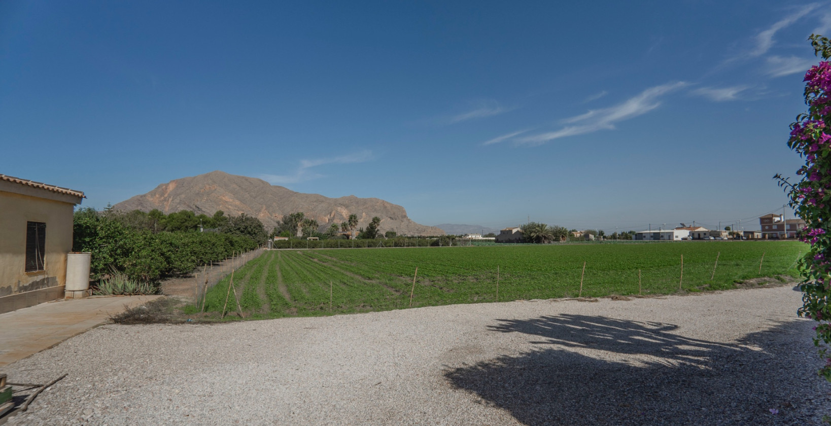 Resale - Villa - Orihuela Costa - San Bartolome