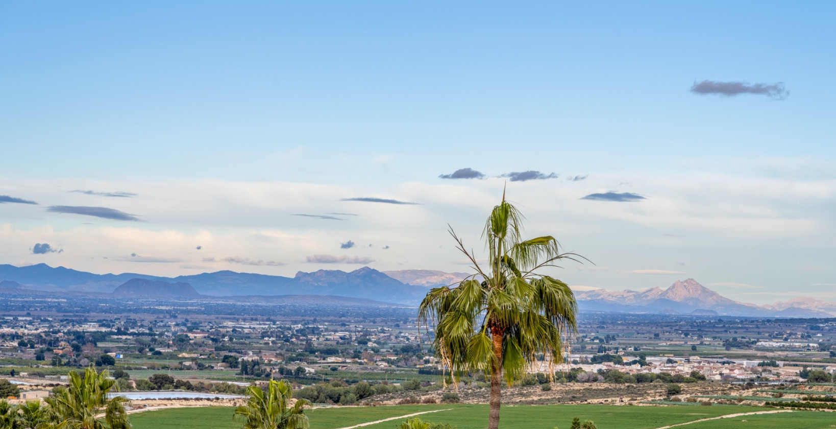 Resale - Villa - Algorfa - Lomas De La Juliana