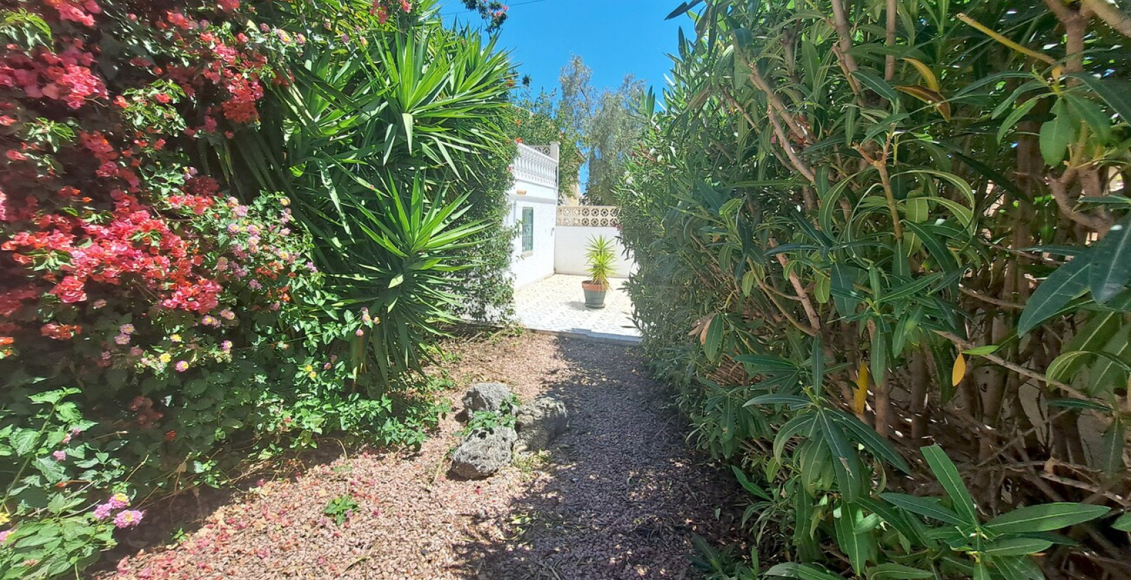 Resale - Villa - San Miguel de Salinas - BLUE LAGOON