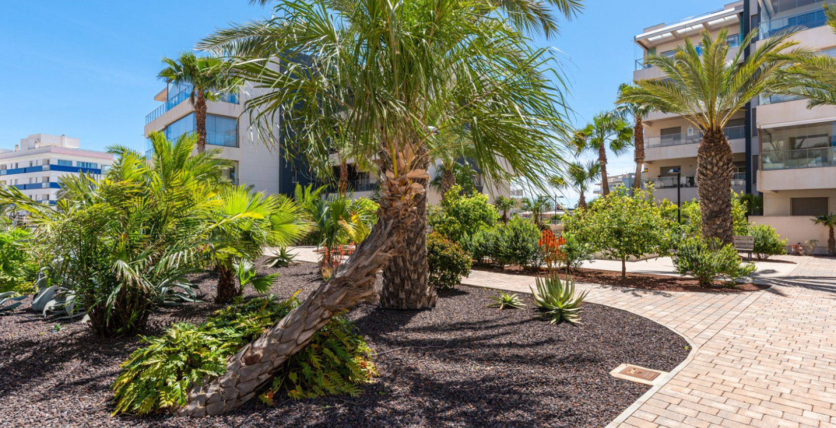 Reventa - Apartments - Orihuela Costa - Los Dolses