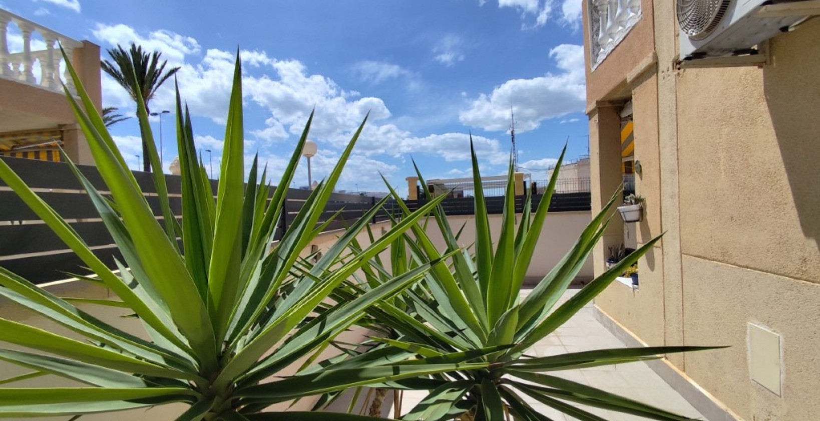 Återförsäljning - Lägenhet / lägenhet - Torrevieja