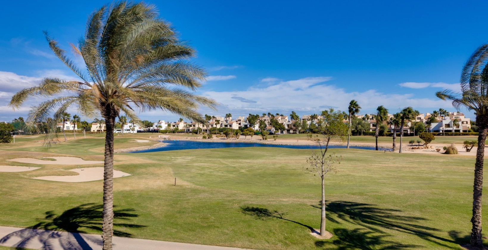 New Build - Villa - Pilar de la Horadada - Lo Romero Golf