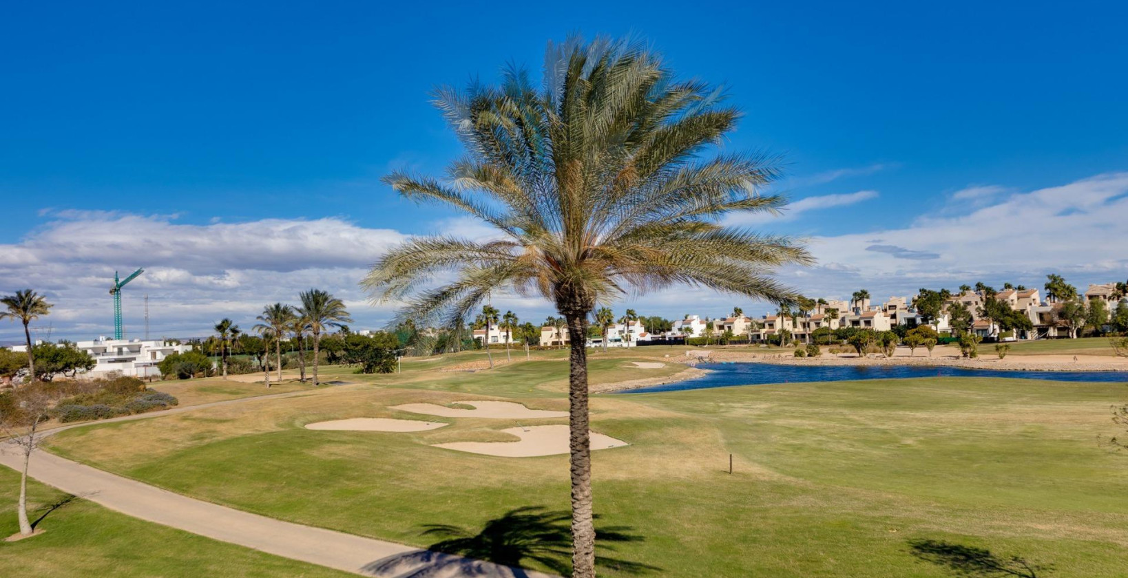 New Build - Villa - Pilar de la Horadada - Lo Romero Golf