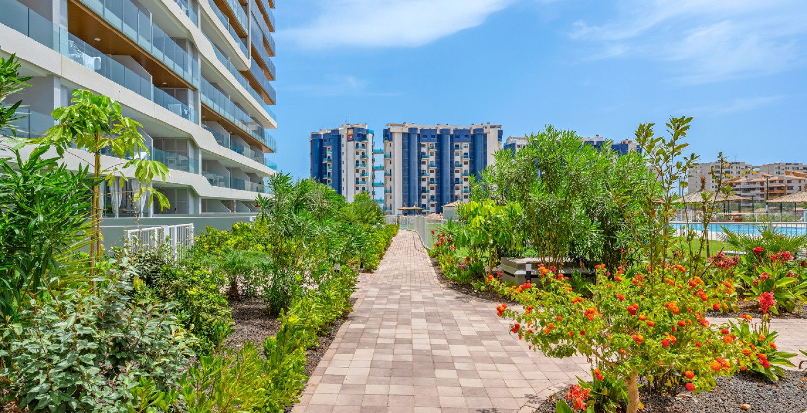 Resale - Apartments - Orihuela Costa - Punta Prima