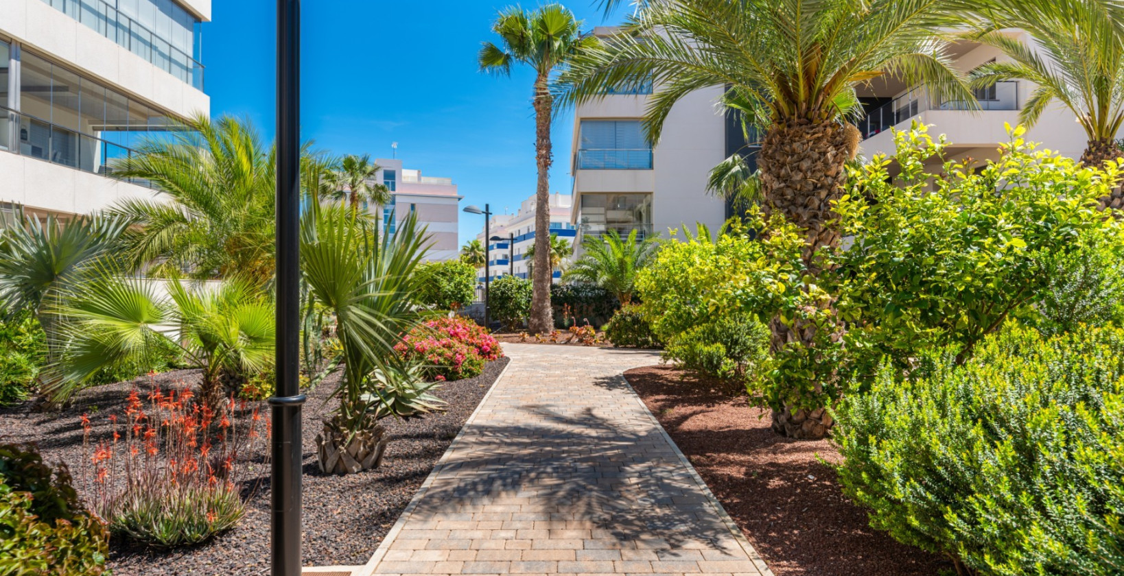 Resale - Apartment / flat - Orihuela Costa - Villamartín