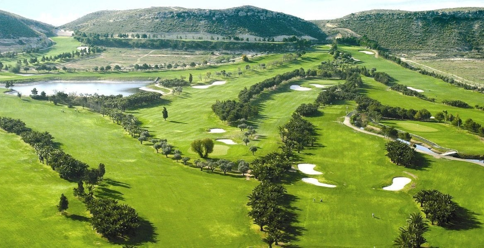 New Build - Villa - BAÑOS Y MENDIGO - Altaona Golf