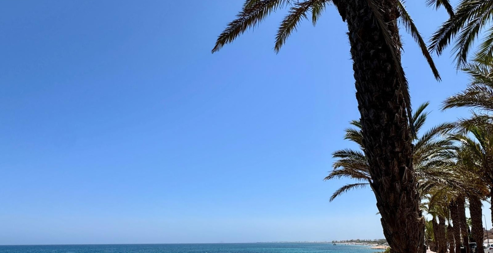 Resale - Apartment / flat - Pilar de la Horadada - Torre De La Horadada