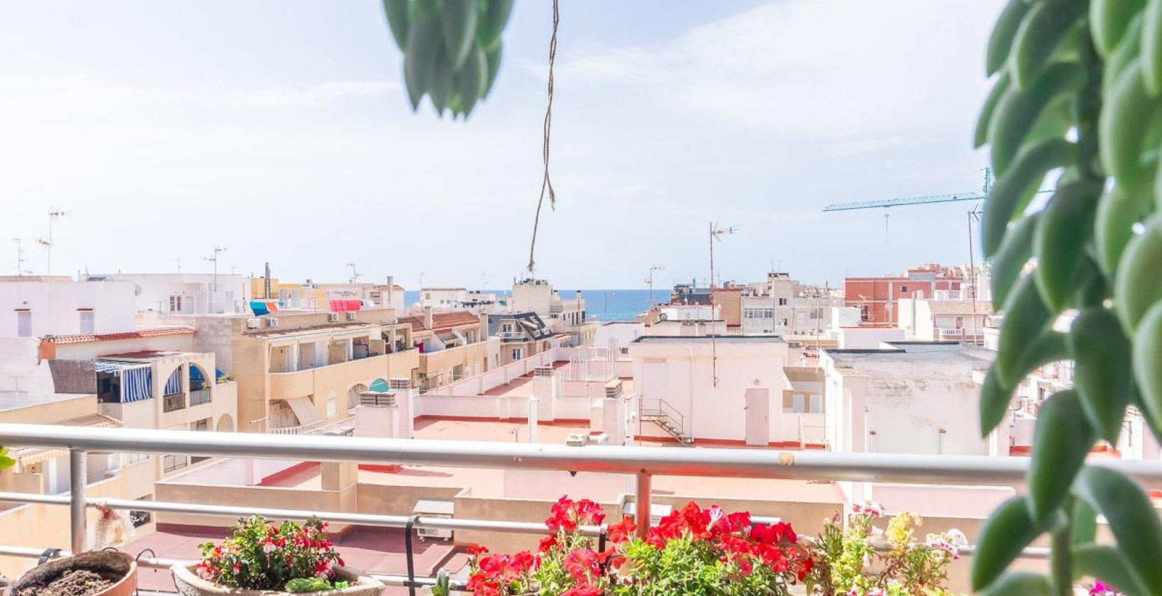 Resale - Apartment / flat - Torrevieja - Curva del Palangre