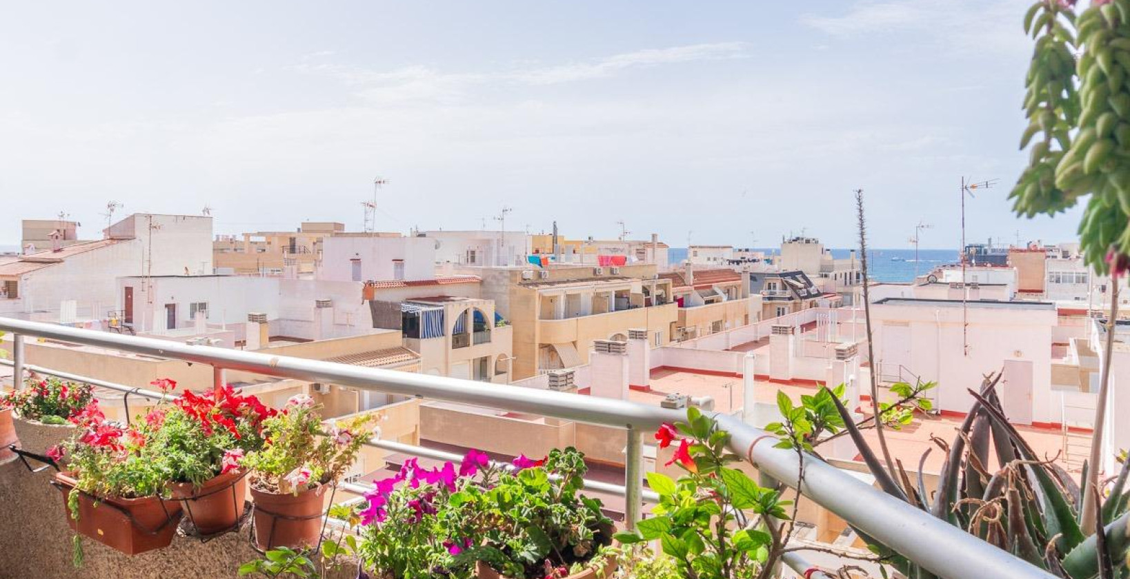 Resale - Apartment / flat - Torrevieja - Curva del Palangre