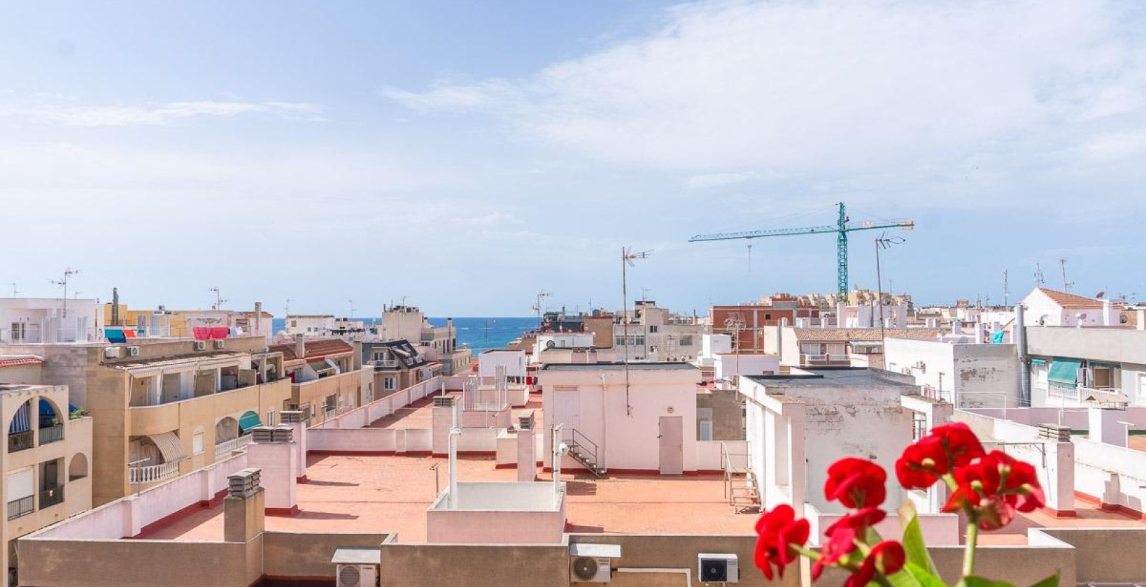 Resale - Apartment / flat - Torrevieja - Curva del Palangre