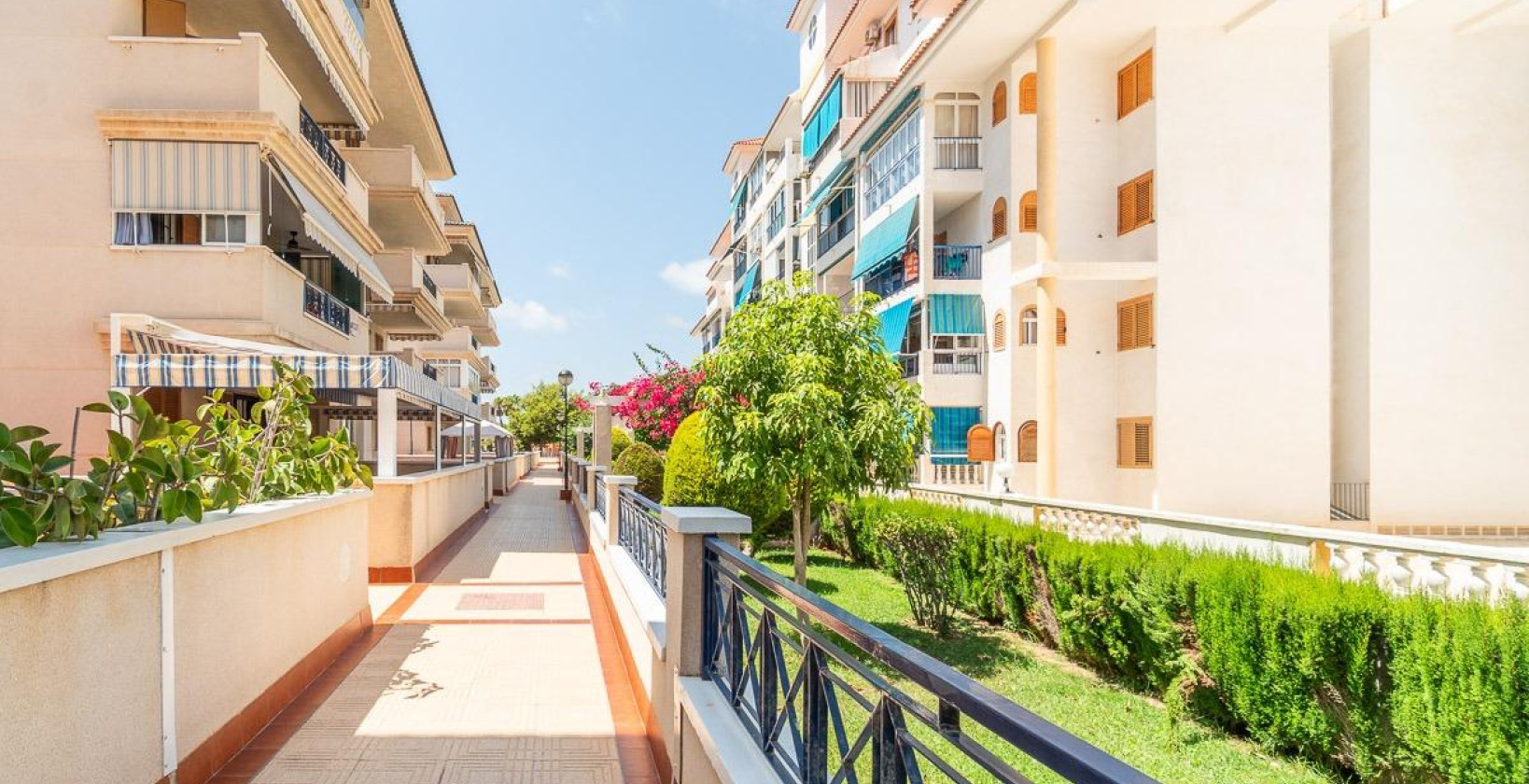 Long time Rental - Apartment / flat - Torrevieja - La Mata