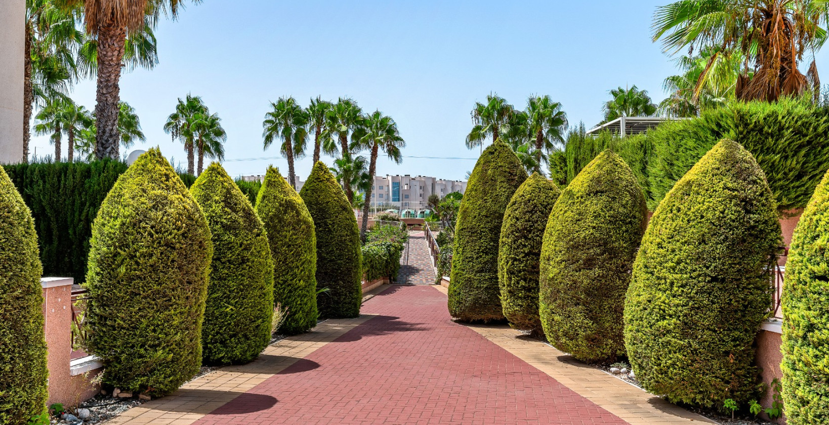 Resale - Apartments - Orihuela Costa - Playa Flamenca