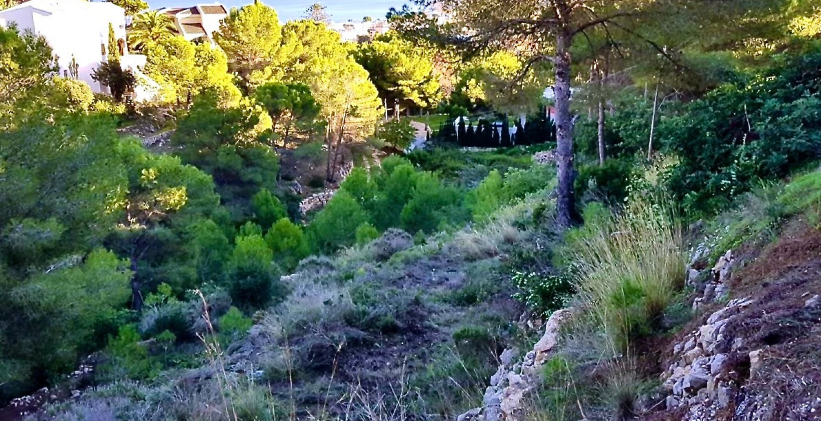 Bruktbolig - Land - Jávea - Jávea - Xàbia Centro