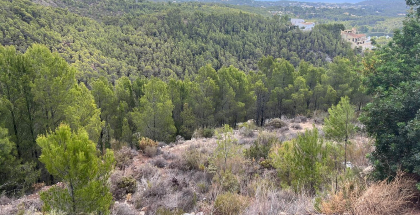 Reventa - Land - Callosa d'en Sarria - Callosa d'en Sarria Centro