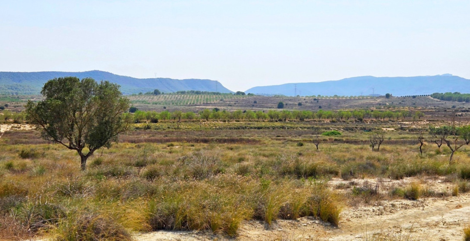 Bruktbolig - Land - San Miguel de Salinas - San Miguel de Salinas Centro