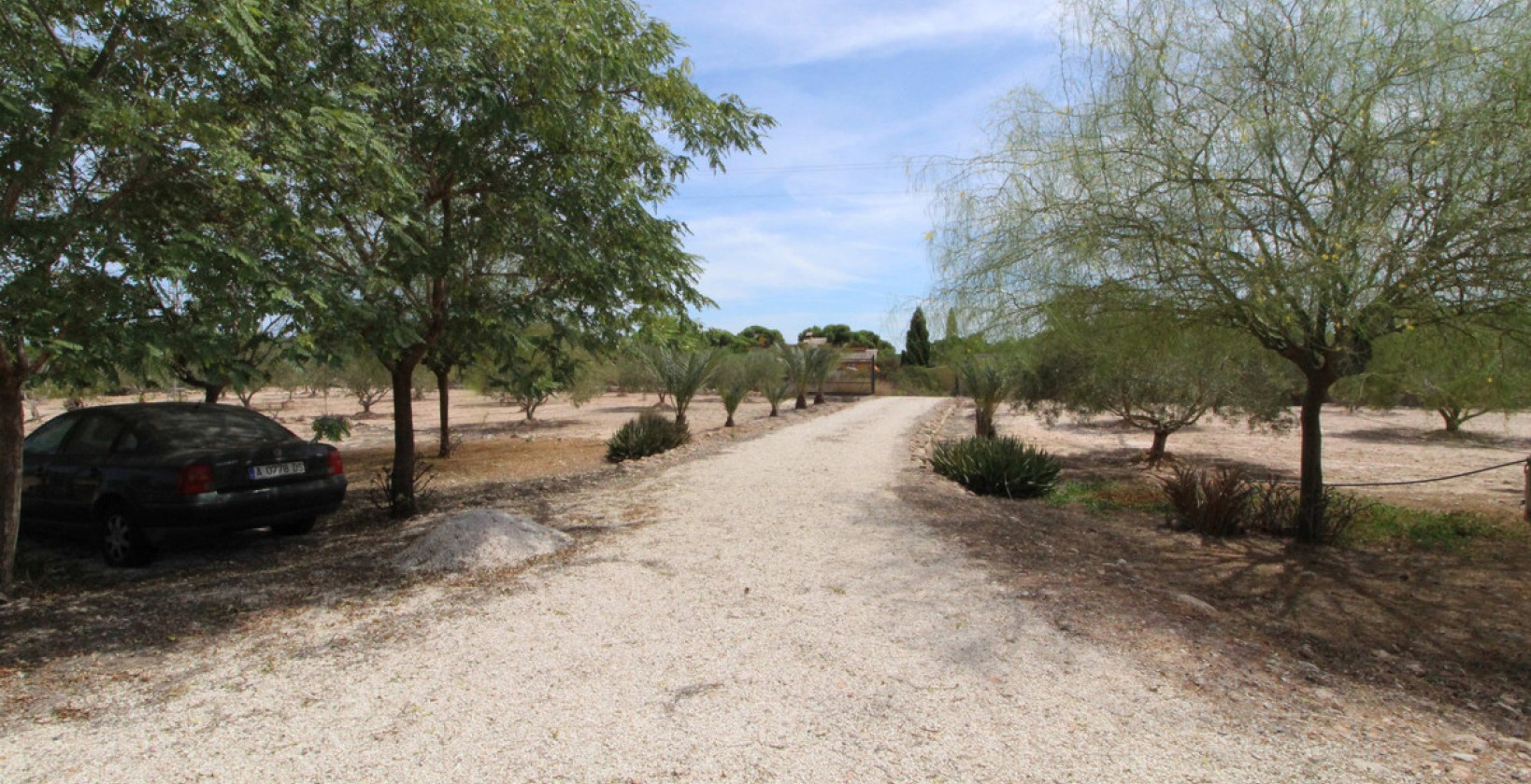 Reventa - Land - Elche - Elche Centro