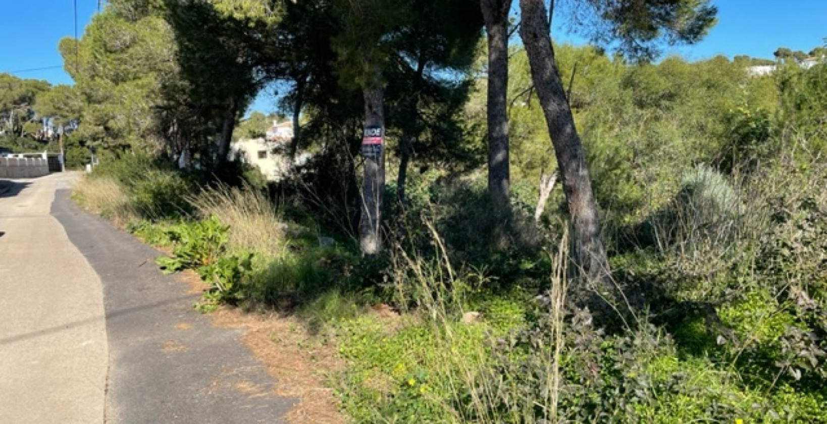 Bruktbolig - Land - Jávea - Jávea - Xàbia Centro