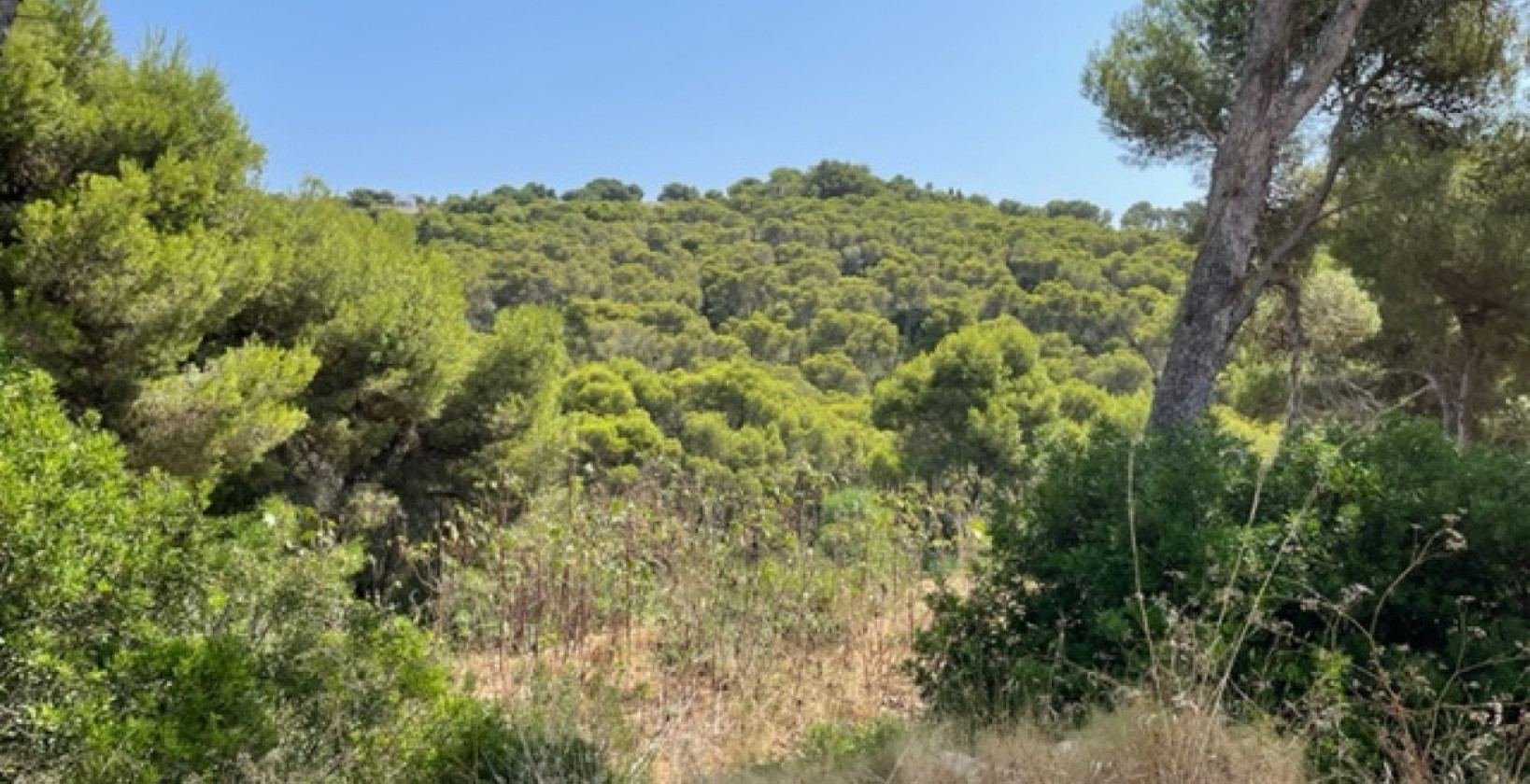 Reventa - Land - Jávea - Jávea - Xàbia Centro