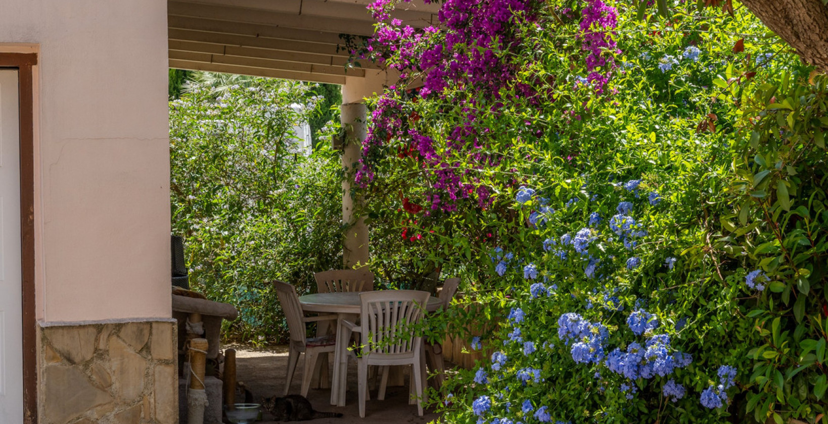 Resale - Villa - Orba - Orba Centro