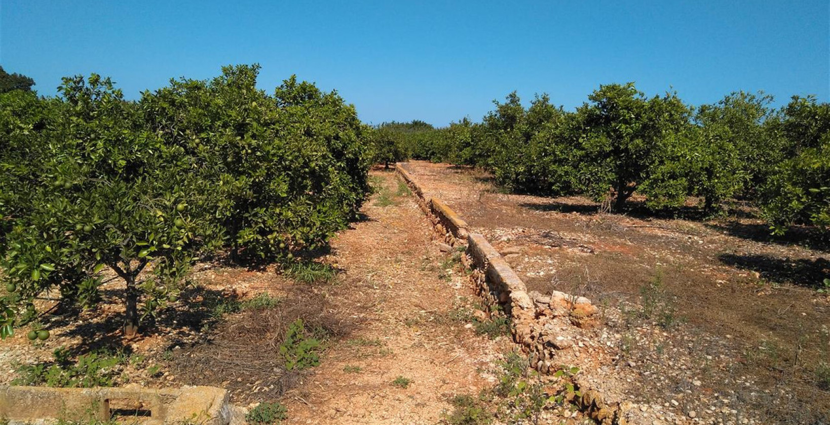 Resale - Land - Ondara - Ondara Centro