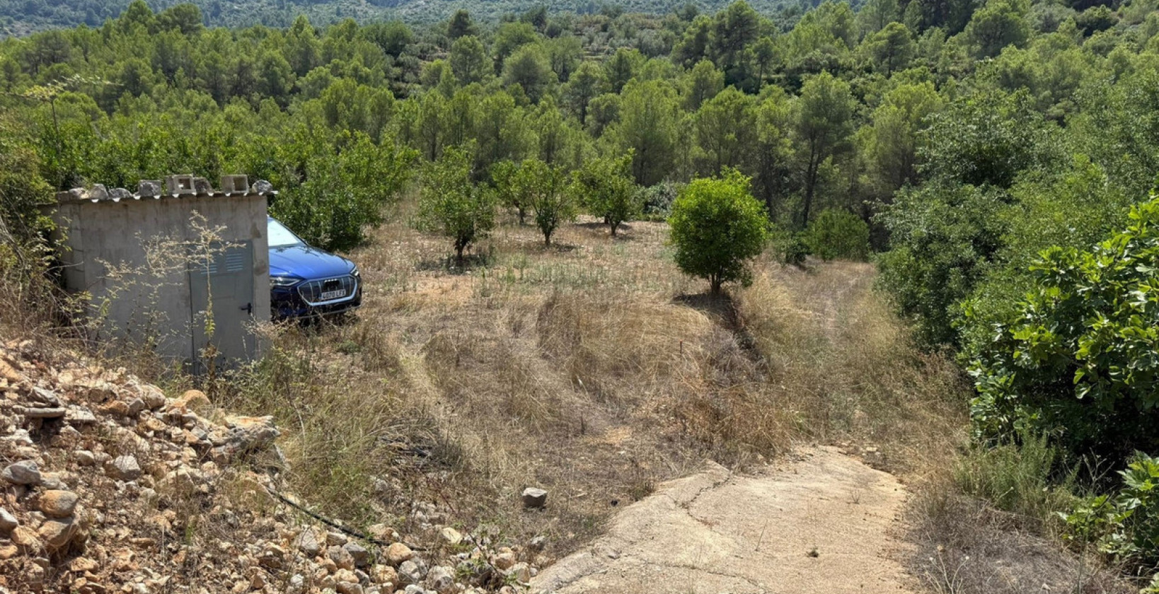 Reventa - Land - Vall de Gallinera - Beniali