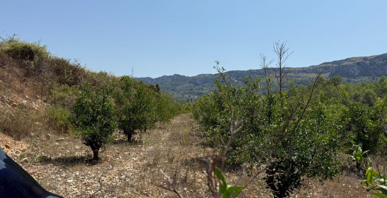 Reventa - Land - Vall de Gallinera - Beniali