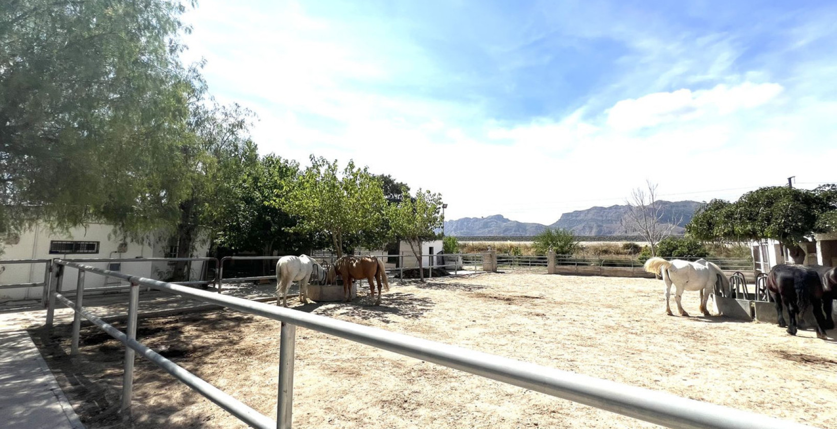 Återförsäljning - Radhus - Orihuela Costa - Orihuela Centro