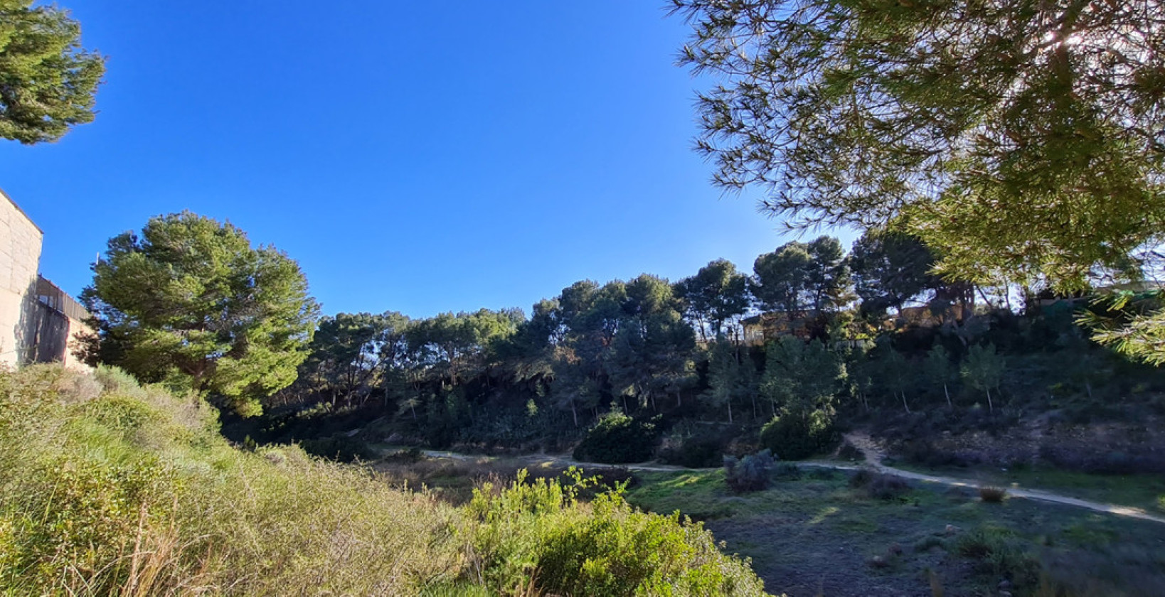New Build - Villa - Pilar de la Horadada - Pinar de Campoverde