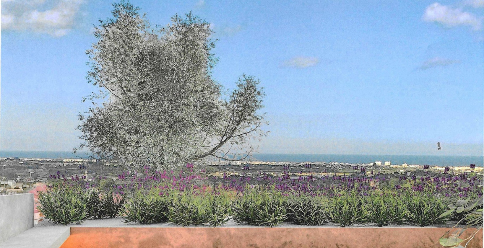 New Build - Villa - Denia - Denia Centro