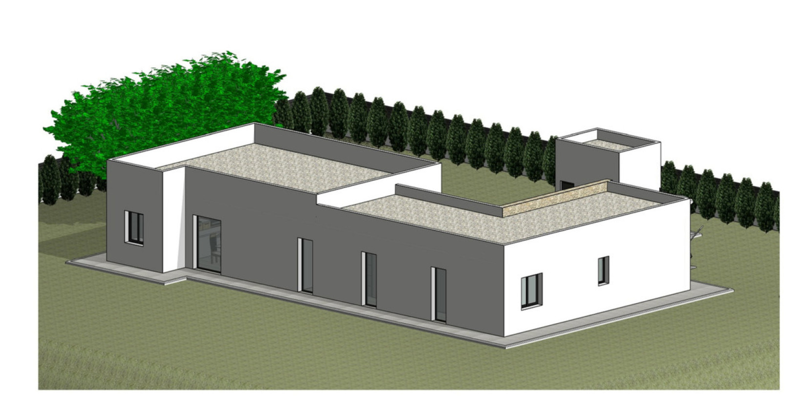 New Build - Villa - Monóvar - Monòver - Monóvar - Monòver Centro